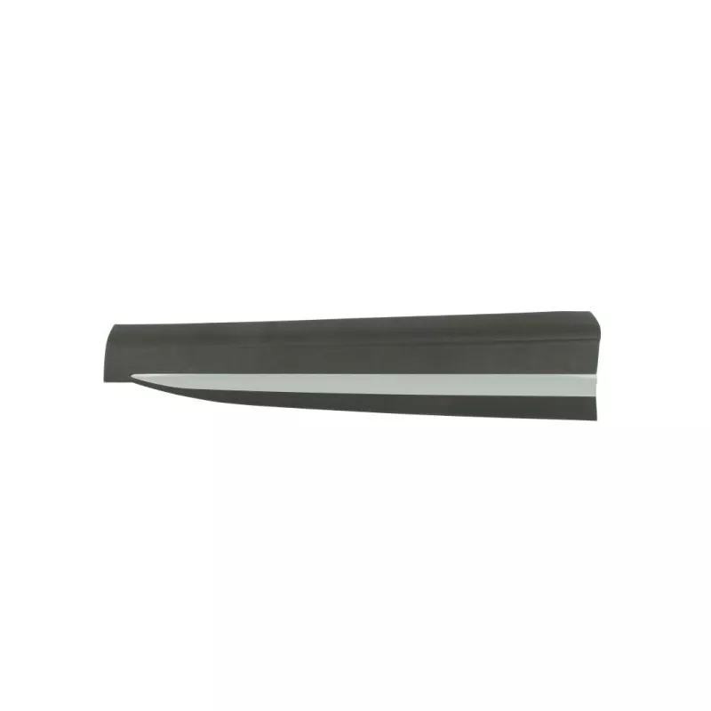 Baguette et bande protectrice, porte avant droit BLIC 5703-04-7802572P