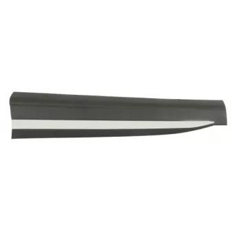 Baguette et bande protectrice, porte avant gauche BLIC 5703-04-7802573P