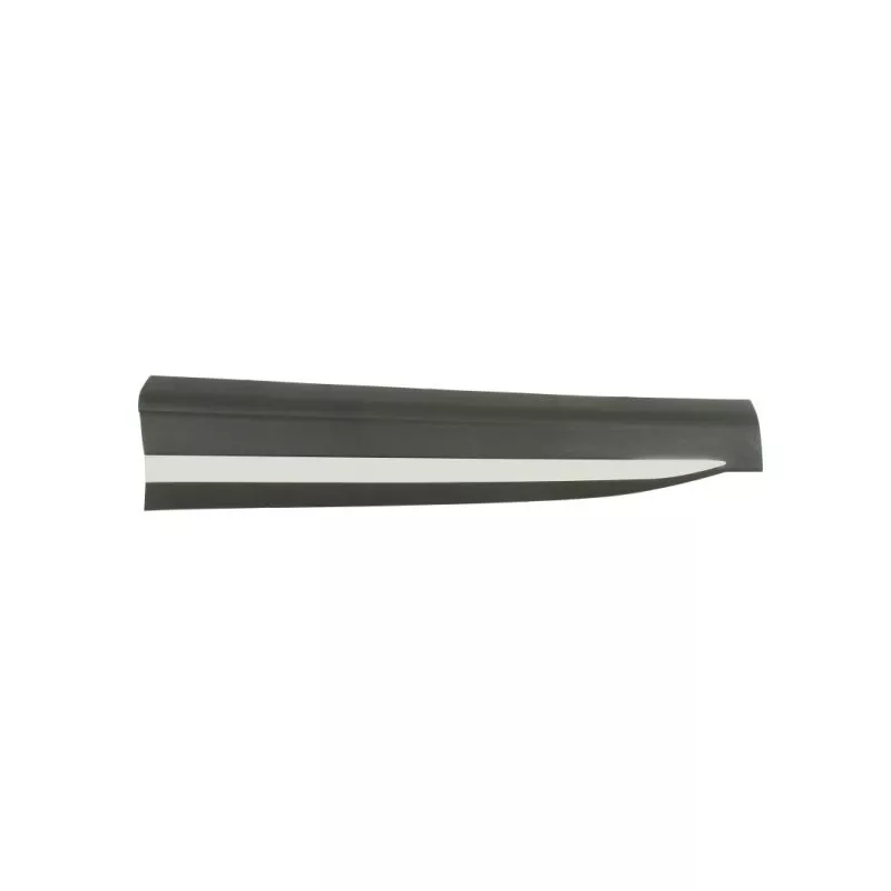 Baguette et bande protectrice, porte avant gauche BLIC 5703-04-7802573P