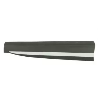 Baguette et bande protectrice, porte avant droit BLIC 5703-04-7802574P