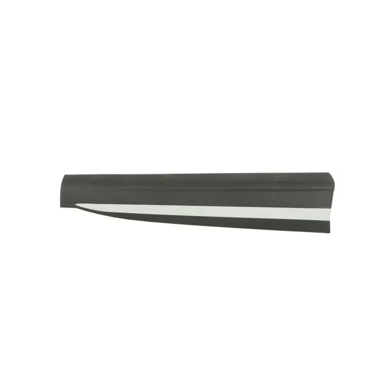 Baguette et bande protectrice, porte avant droit BLIC 5703-04-7802574P