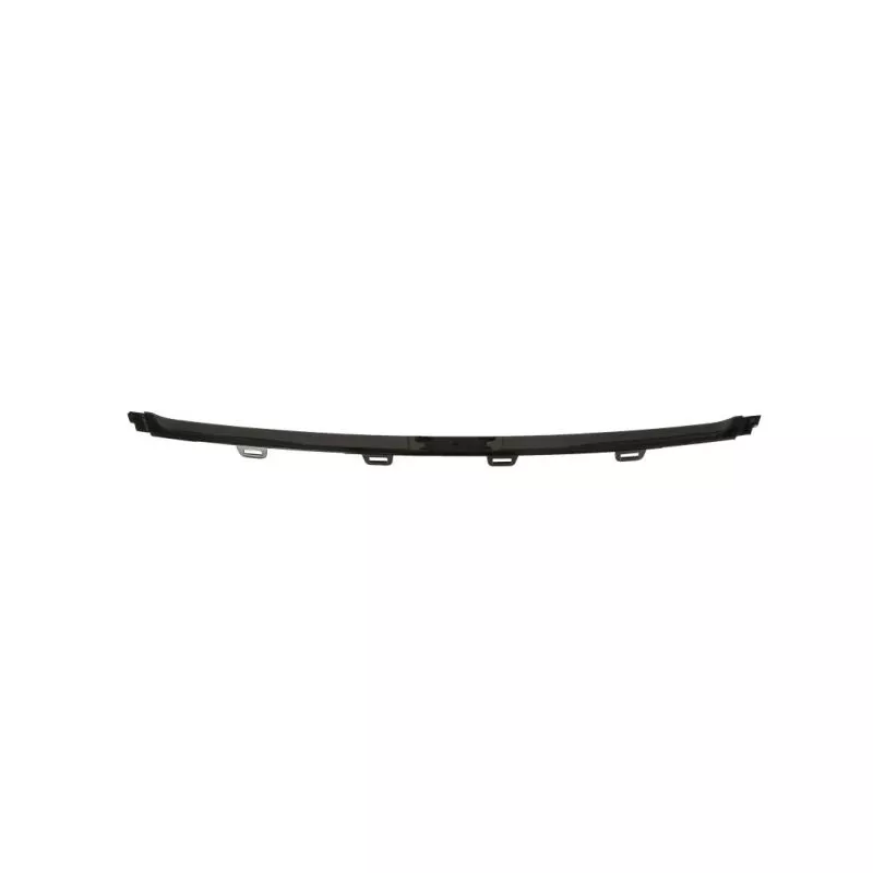 Baguette et bande protectrice, pare-chocs avant gauche BLIC 5703-05-0063920SP