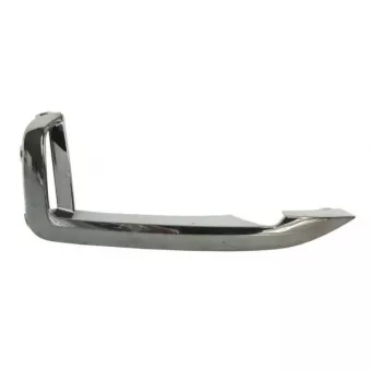 Baguette et bande protectrice, pare-chocs avant gauche BLIC 5703-05-0078921P
