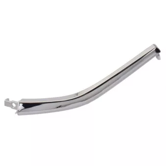 Baguette et bande protectrice, grille de radiateur avant gauche BLIC 5703-05-3753927P