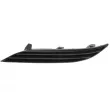 Baguette et bande protectrice, pare-chocs avant gauche BLIC 5703-05-8123971P - Visuel 1
