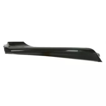 Baguette et bande protectrice, pare-chocs avant gauche BLIC