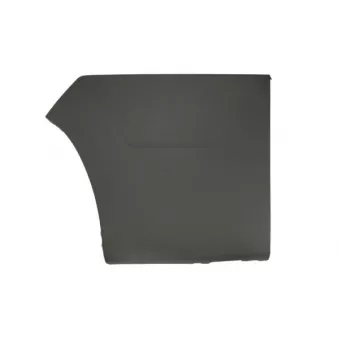 Baguette et bande protectrice, aile avant droit BLIC