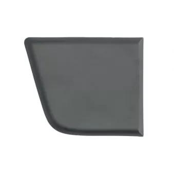 Baguette et bande protectrice, aile avant droit BLIC