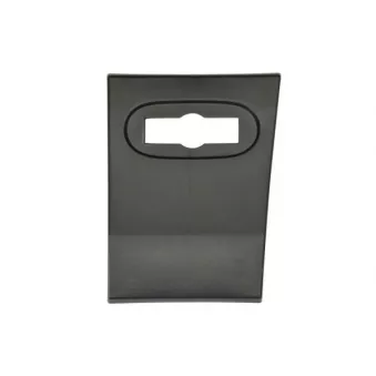 Baguette et bande protectrice, panneau latérale avant gauche BLIC