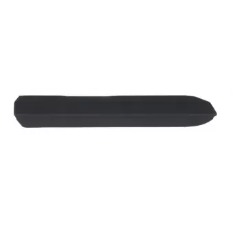 Baguette et bande protectrice, aile avant gauche BLIC 5703-08-0054371P
