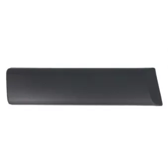 Baguette et bande protectrice, aile avant gauche BLIC