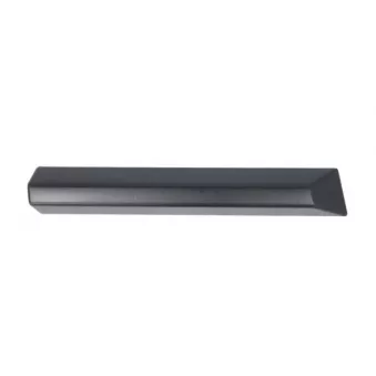 Baguette et bande protectrice, aile avant gauche BLIC 5703-08-0060371P
