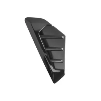 Baguette et bande protectrice, aile avant gauche BLIC 5703-08-0098381P