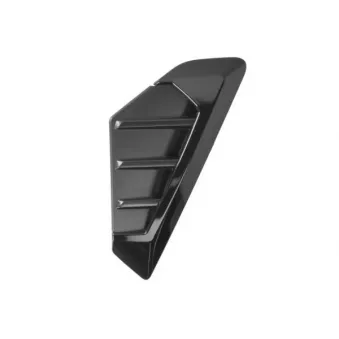 Baguette et bande protectrice, aile avant droit BLIC 5703-08-0098382P