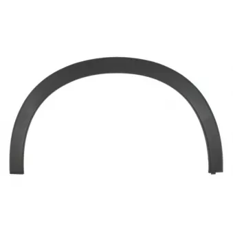 Baguette et bande protectrice, aile avant gauche BLIC