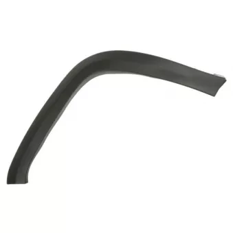 Baguette et bande protectrice, aile avant droit BLIC 5703-08-3206374CP