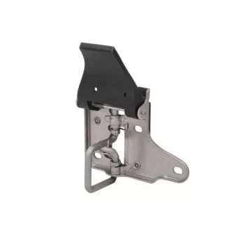 Serrure de capot-moteur BLIC 6010-43-1313424PP