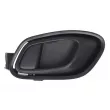 Poignet de porte, équipment intérieur arrière gauche BLIC 6010-53-043409TP - Visuel 1