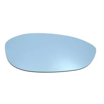 Verre de rétroviseur, rétroviseur extérieur BLIC 6102-02-1212211P