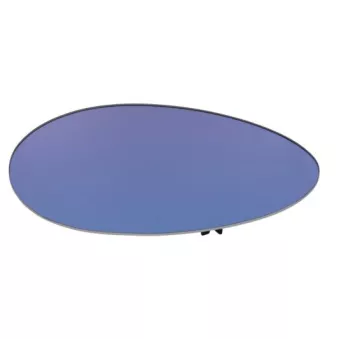 Verre de rétroviseur, rétroviseur extérieur BLIC 6102-02-1231273P