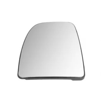 Verre de rétroviseur, rétroviseur extérieur BLIC 6102-04-2579310P