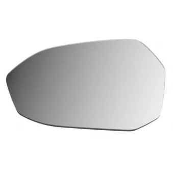 Verre de rétroviseur, rétroviseur extérieur BLIC 6102-05-2630310P