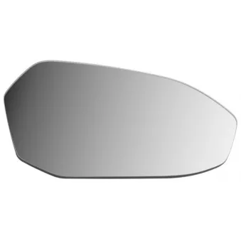 Verre de rétroviseur, rétroviseur extérieur BLIC 6102-05-2630311P