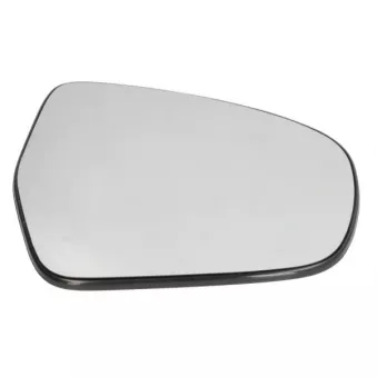 Verre de rétroviseur, rétroviseur extérieur BLIC 6102-18-1384313P