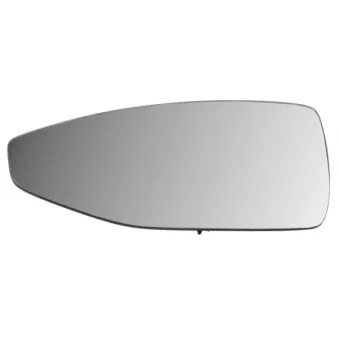 Verre de rétroviseur, rétroviseur extérieur BLIC 6102-25-2141310P