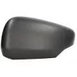 Revêtement, rétroviseur extérieur BLIC 6103-02-2435310P - Visuel 1