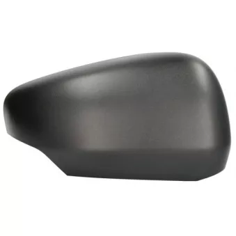 Revêtement, rétroviseur extérieur BLIC 6103-02-2435311P