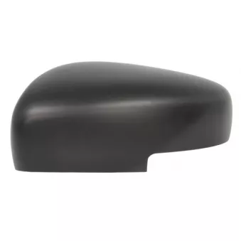 Revêtement, rétroviseur extérieur BLIC 6103-18-2002312P