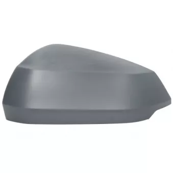 Revêtement, rétroviseur extérieur BLIC 6103-25-0067310P