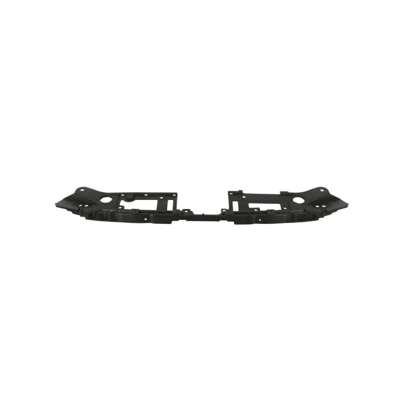 Support, grille de radiateur BLIC 6502-03-3479208P