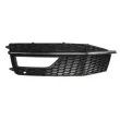 Grille de ventilation, pare-chocs avant gauche BLIC 6502-07-0029919P - Visuel 1