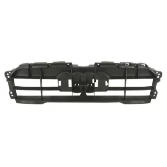 Support, grille de radiateur BLIC 6502-07-0029996P