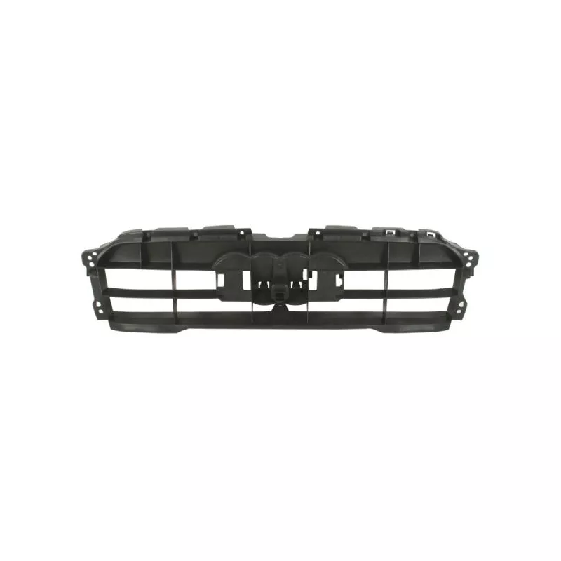 Support, grille de radiateur BLIC 6502-07-0029996P