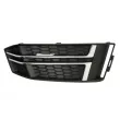 Grille de ventilation, pare-chocs avant BLIC 6502-07-0030998P - Visuel 1
