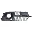 Grille de ventilation, pare-chocs avant gauche BLIC 6502-07-0035923SP - Visuel 2