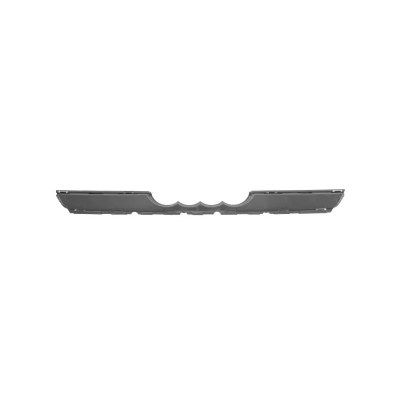 Baguette et bande protectrice, grille de radiateur BLIC 6502-07-0041919P