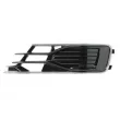 Grille de ventilation, pare-chocs avant gauche BLIC 6502-07-0042917P - Visuel 1