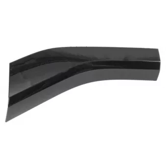 Baguette et bande protectrice, pare-chocs avant gauche BLIC 6502-07-0048979BP