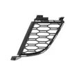 Grille de ventilation, pare-chocs avant BLIC 6502-07-0064914MP - Visuel 2