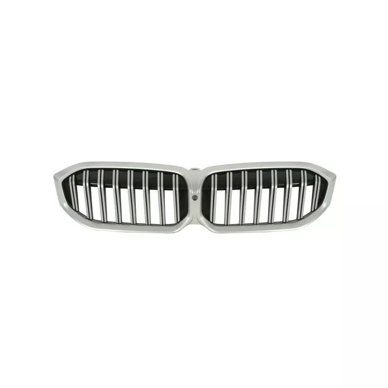 Grille de radiateur BLIC 6502-07-0064990P