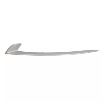 Grille de ventilation, pare-chocs avant gauche BLIC 6502-07-0067927NP