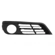 Grille de ventilation, pare-chocs avant BLIC 6502-07-0067928GP - Visuel 1