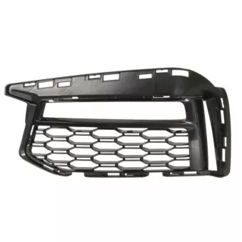 Grille de ventilation, pare-chocs avant gauche BLIC 6502-07-0068925P