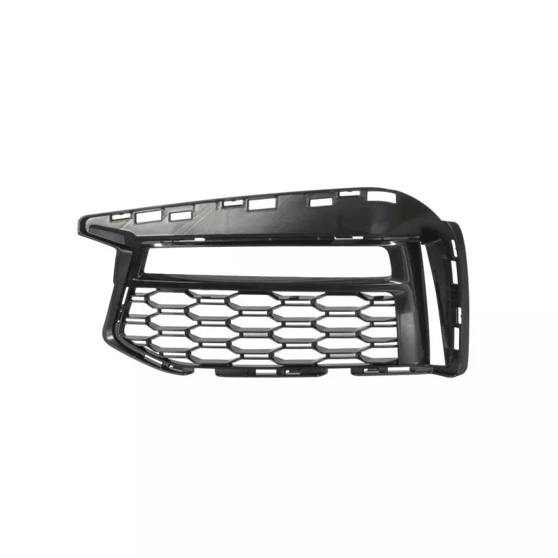 Grille de ventilation, pare-chocs avant gauche BLIC 6502-07-0068925P