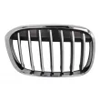 Grille de ventilation, pare-chocs avant BLIC 6502-07-0082992P - Visuel 1