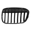 Grille de ventilation, pare-chocs avant BLIC 6502-07-0082992P - Visuel 2